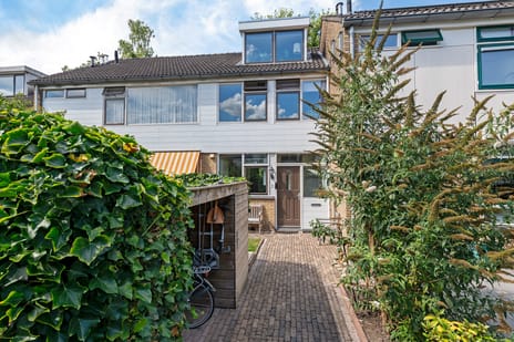 undefined main image