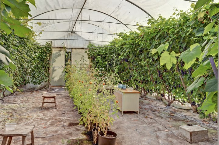 Photo 71 of Achterbroek 10