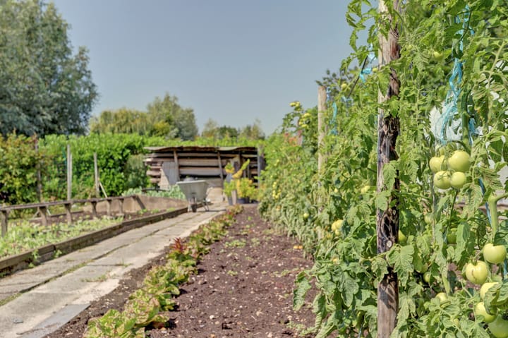 Photo 75 of Achterbroek 10