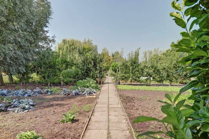 Photo 76 of Achterbroek 10