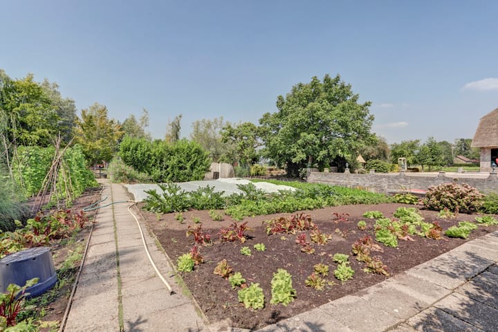 Photo 77 of Achterbroek 10