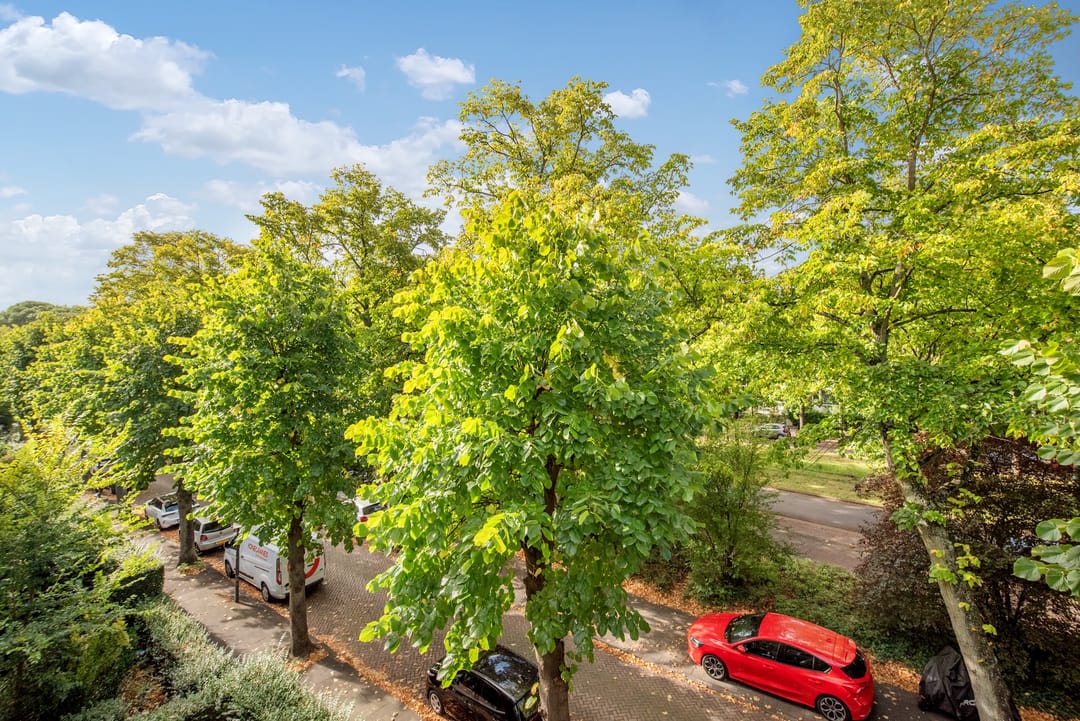 Foto 22 van Cornelis Suyslaan 29