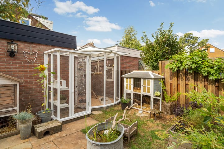 Foto 26 van Heliotroop 98