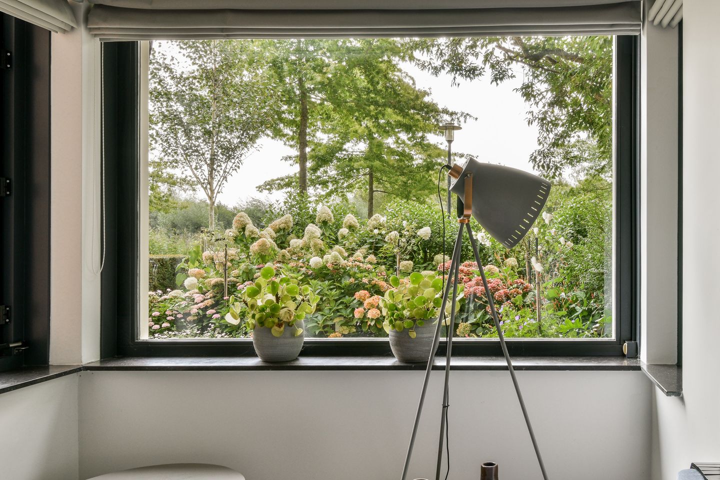 Foto 14 van Romanovhof 6