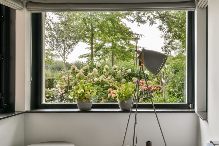 Foto 14 van Romanovhof 6