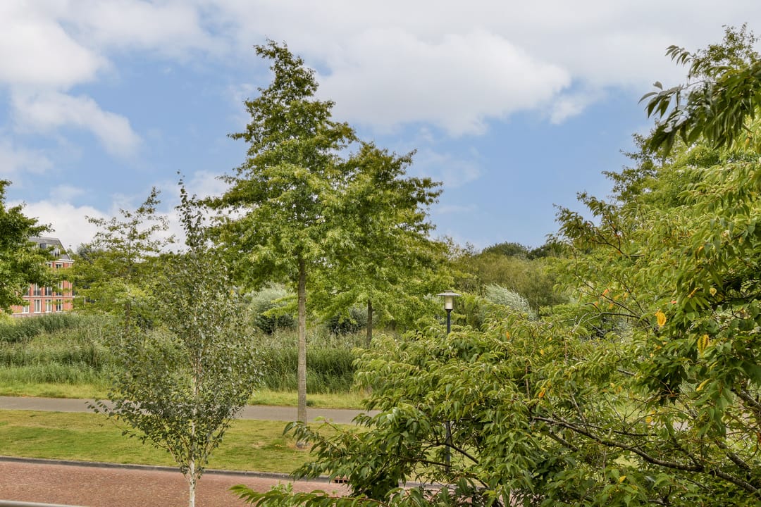 Foto 53 van Romanovhof 6