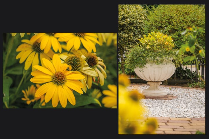 Foto 35 van Groenendaal 1