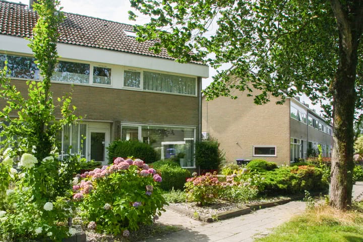 Foto 5 van Ylostinslaan 44