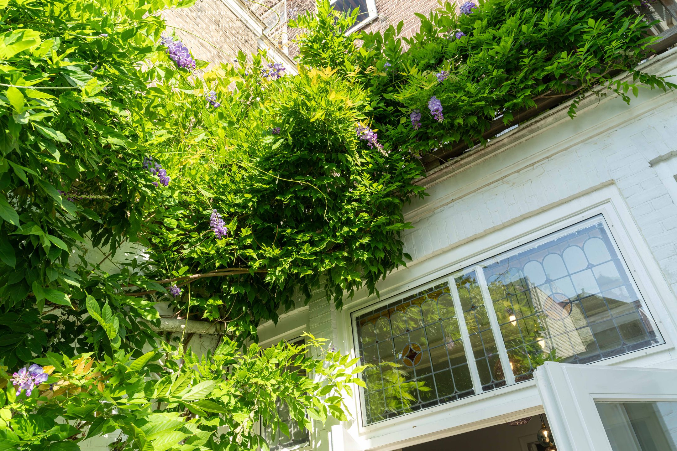 Photo 24 of Vlamingstraat 63