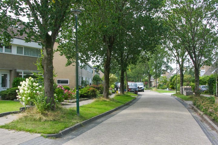 Foto 64 van Ylostinslaan 44