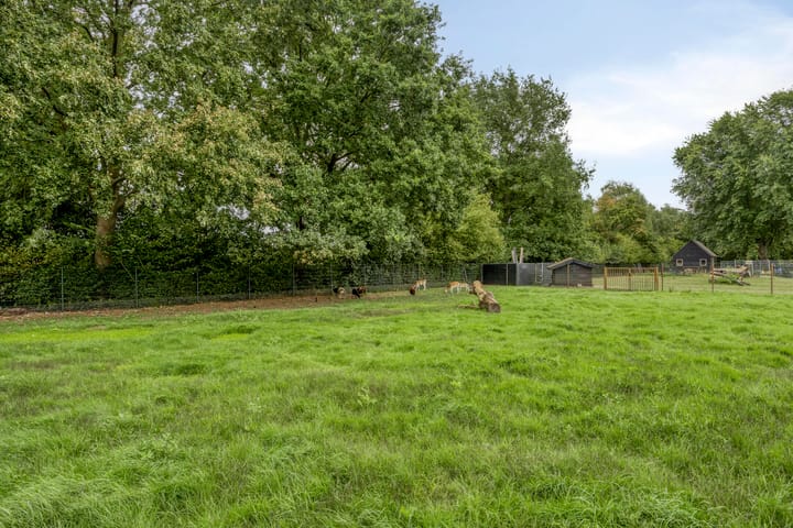 Foto 41 van Callenburghstraat 28