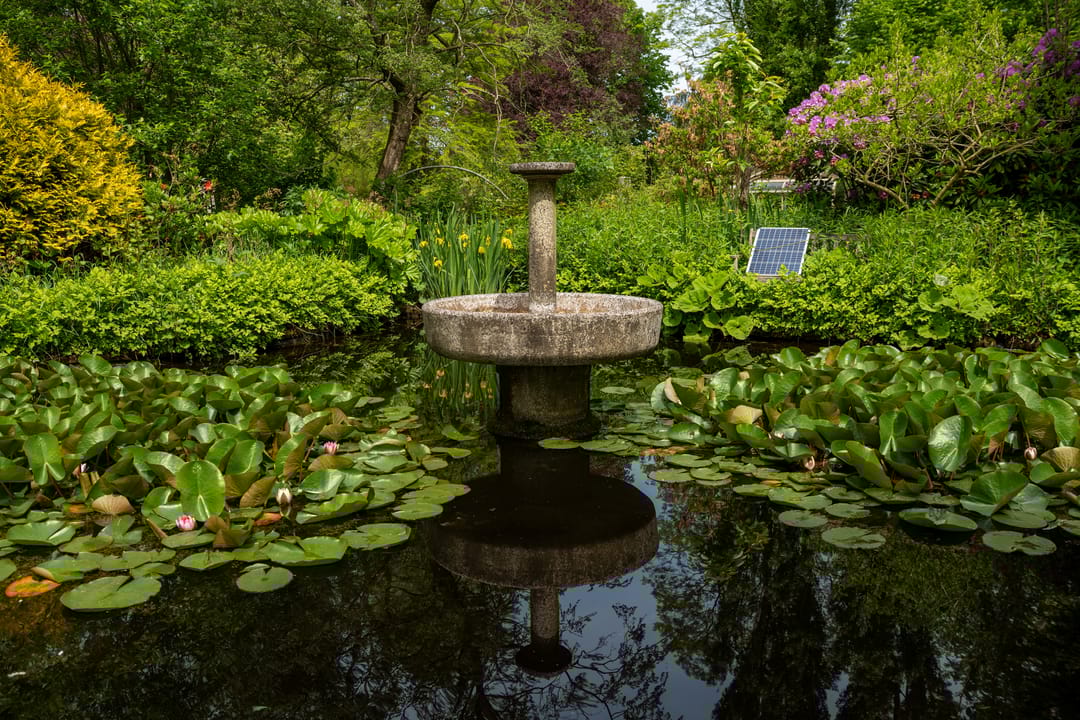 Foto 56 van Jonkersvaart 30