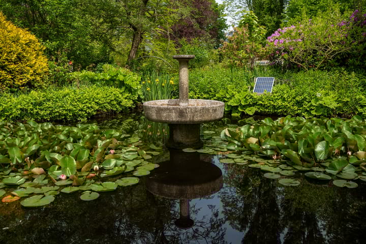 Foto 56 van Jonkersvaart 30