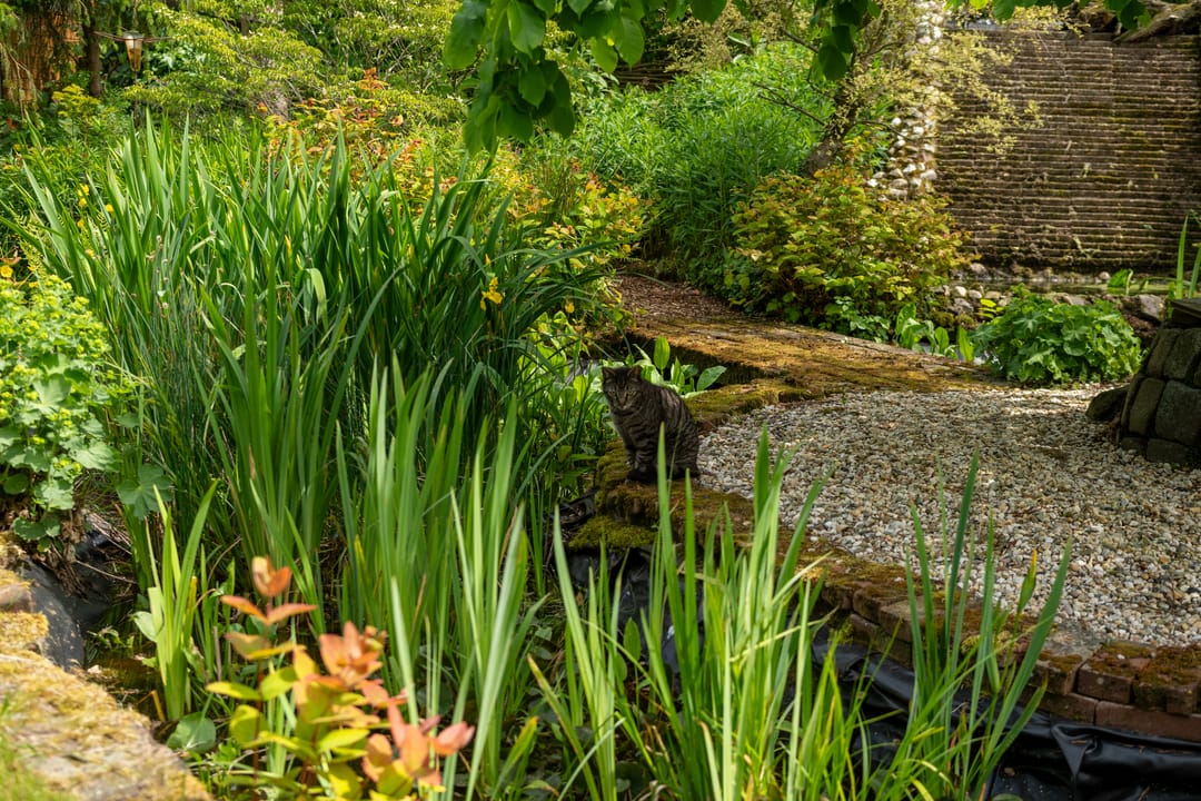 Foto 58 van Jonkersvaart 30