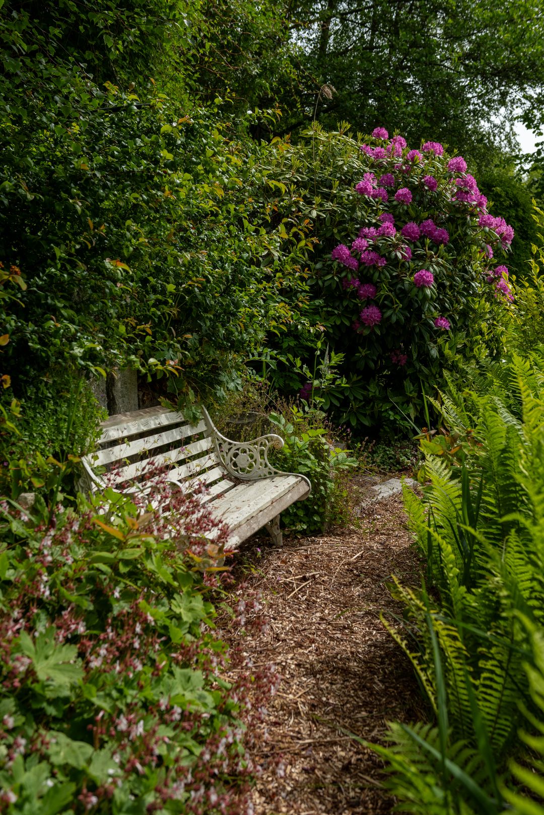 Foto 62 van Jonkersvaart 30