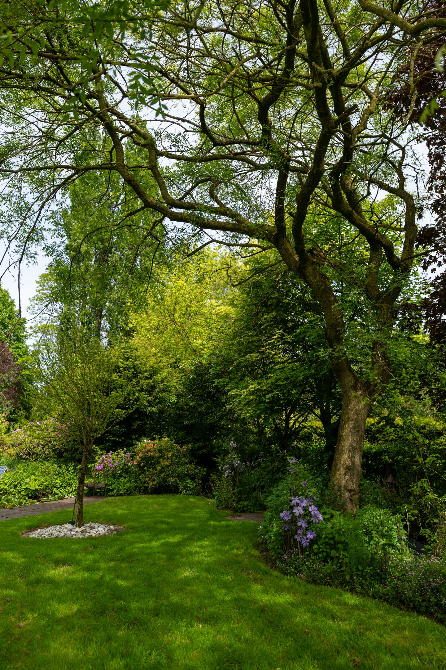 Foto 64 van Jonkersvaart 30