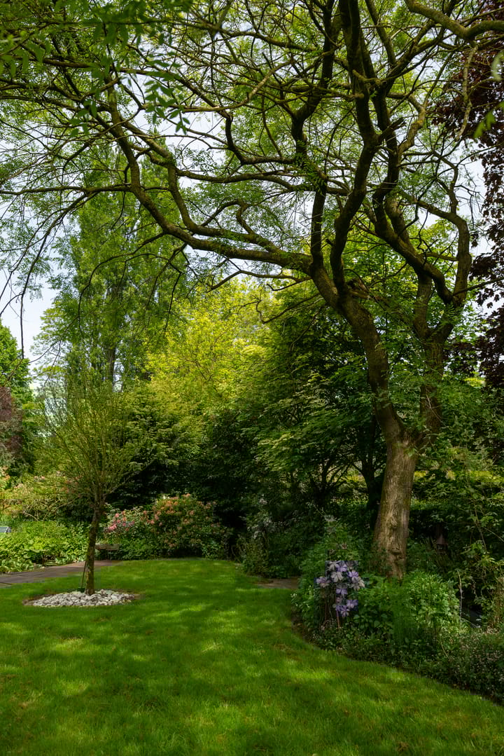 Foto 64 van Jonkersvaart 30