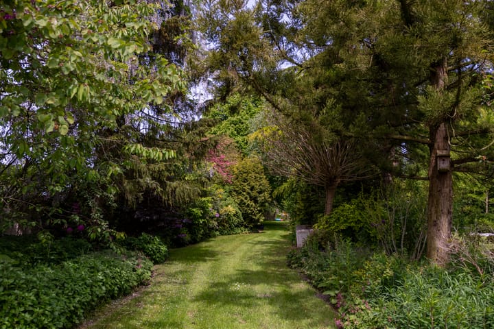 Foto 66 van Jonkersvaart 30