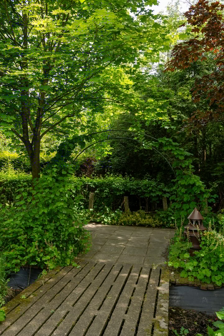 Foto 69 van Jonkersvaart 30