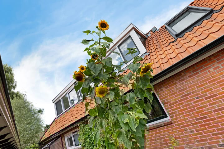 Foto 50 van Achter de Hoven 8