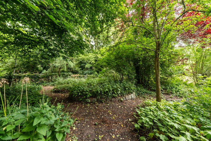 Foto 73 van Jonkersvaart 30