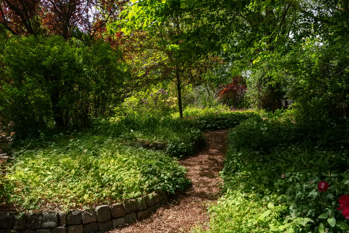 Foto 74 van Jonkersvaart 30