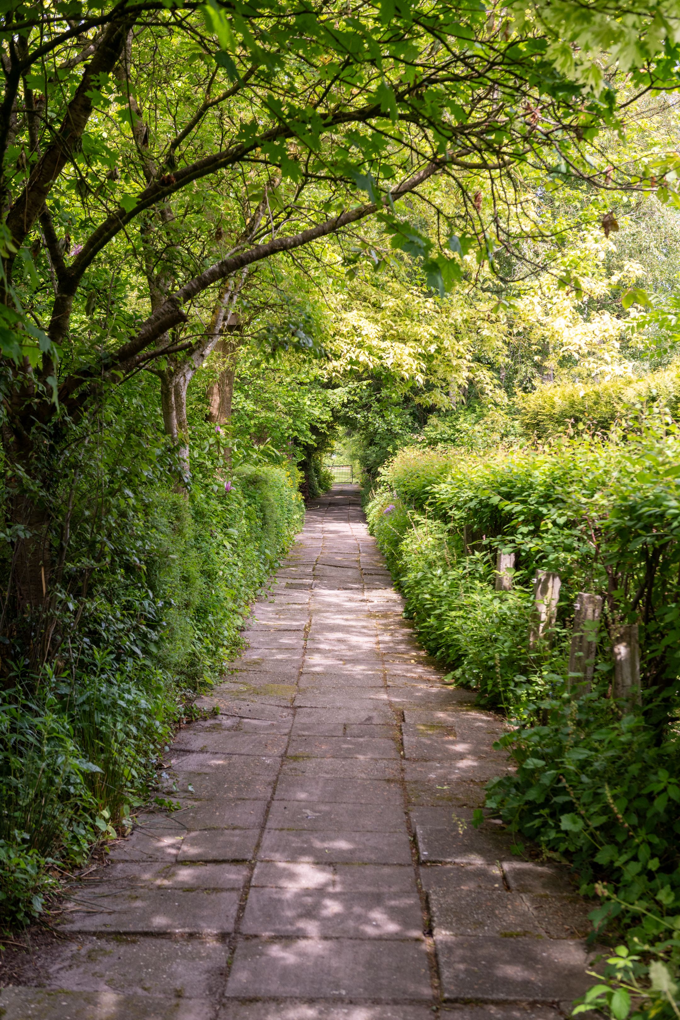 Foto 75 van Jonkersvaart 30