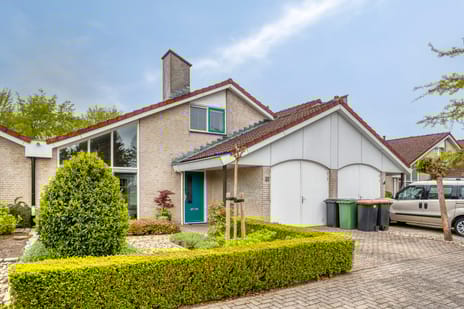 undefined main image