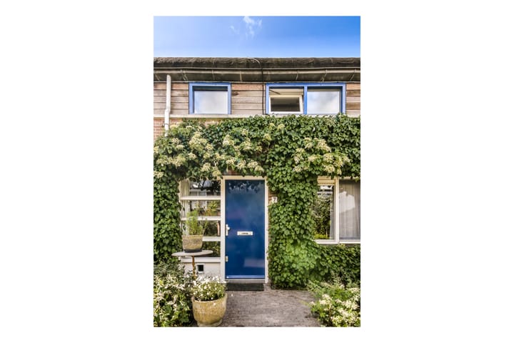 Foto 2 van Daan van Dijkpad 7