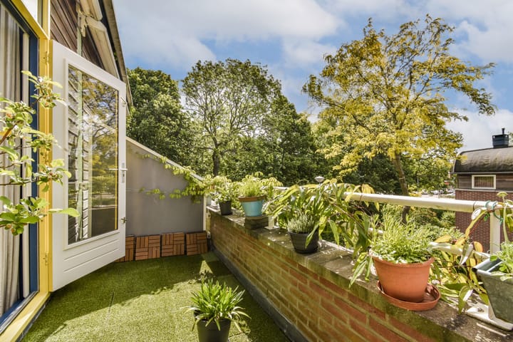 Foto 7 van Daan van Dijkpad 7