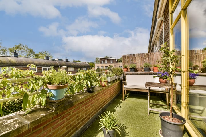 Foto 8 van Daan van Dijkpad 7