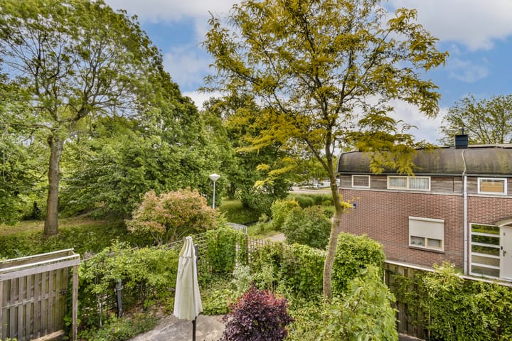 Foto 9 van Daan van Dijkpad 7