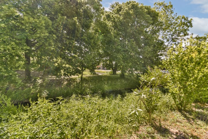 Foto 20 van Daan van Dijkpad 7