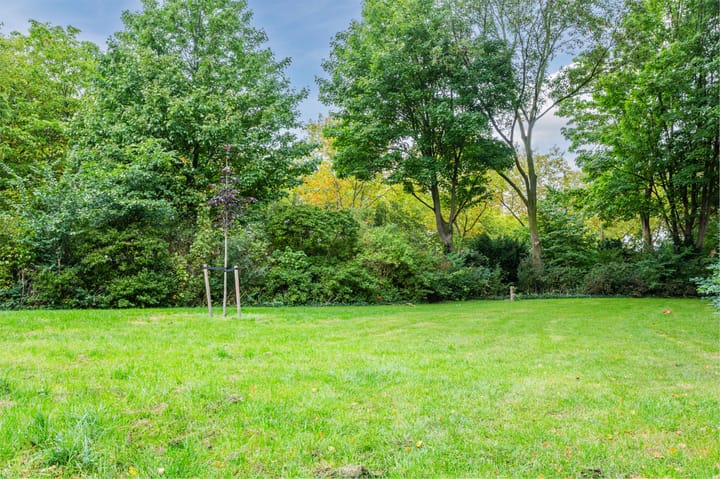 Foto 16 van Livingstonelaan 1174