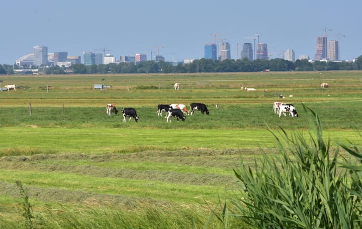 Photo 9 of Waverdijk 12