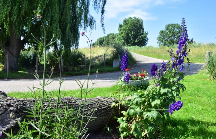 Photo 13 of Waverdijk 12