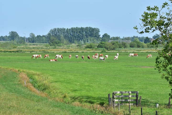 Photo 72 of Waverdijk 12