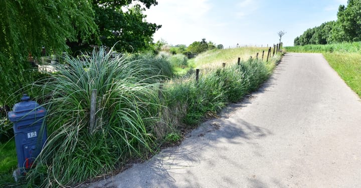 Photo 14 of Waverdijk 12