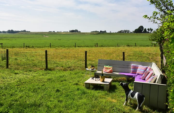 Photo 16 of Waverdijk 12