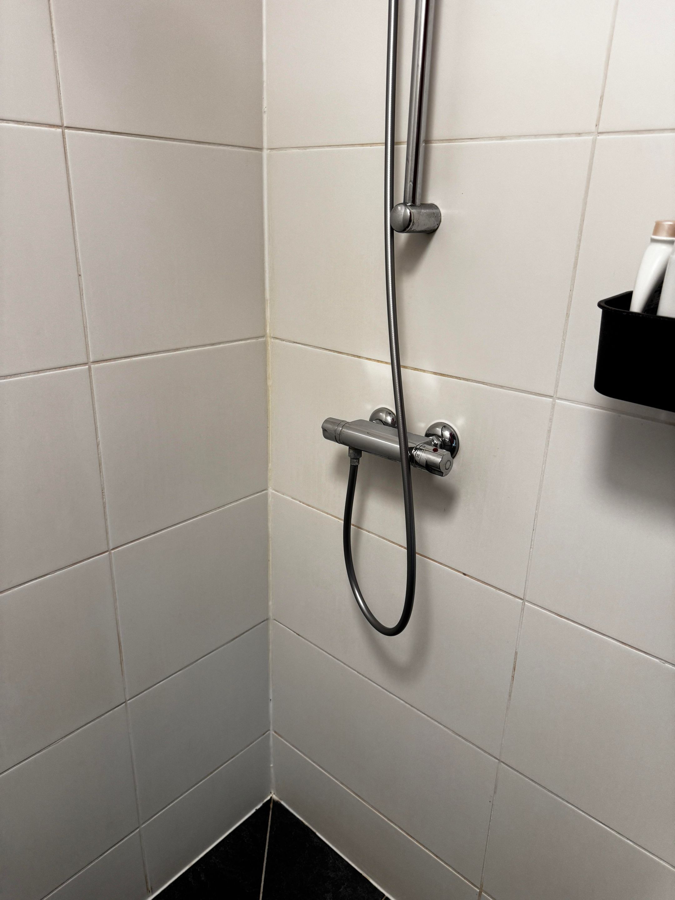 Foto 9 van Olof Palmelaan 98