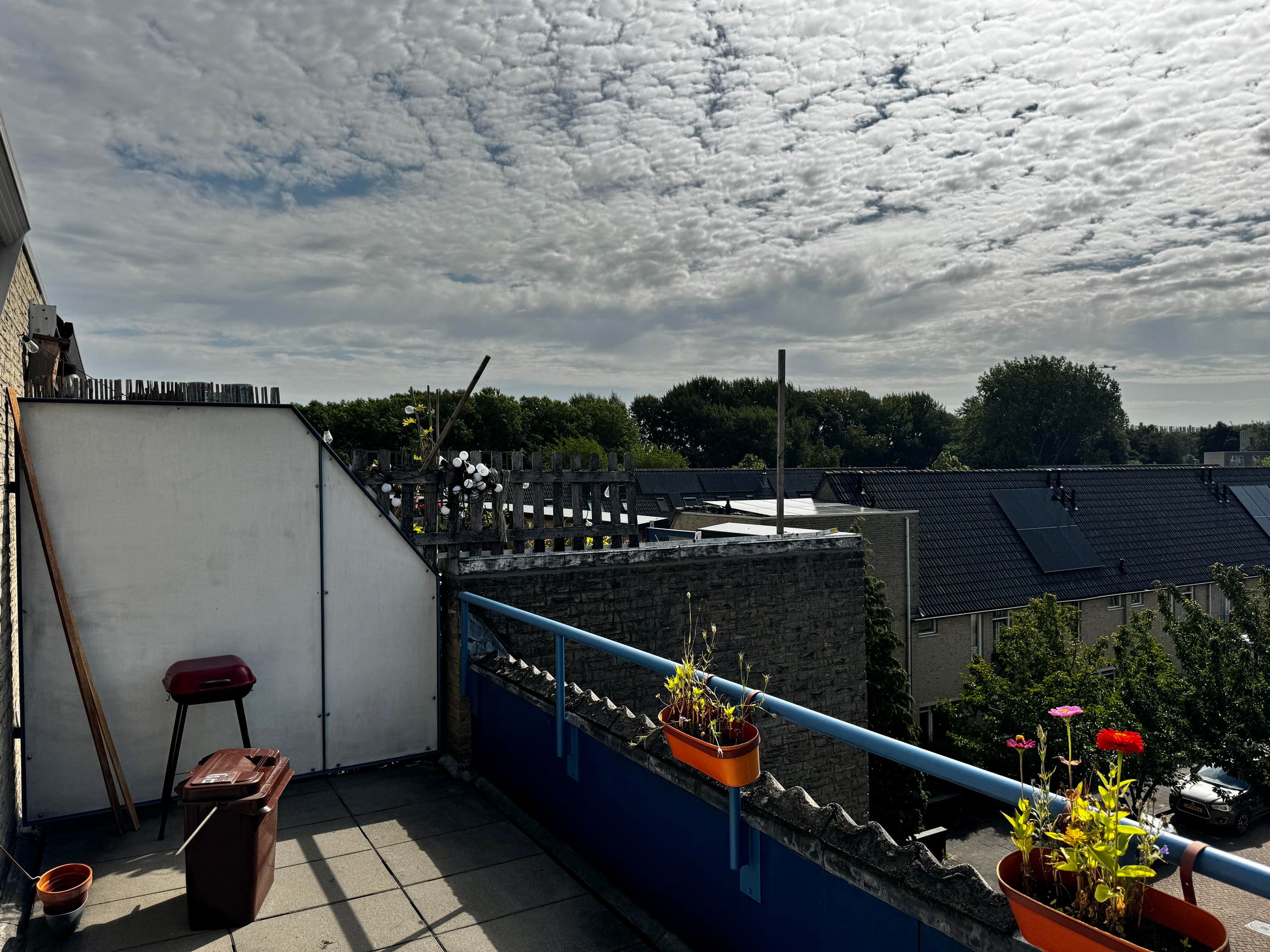 Foto 6 van Olof Palmelaan 98