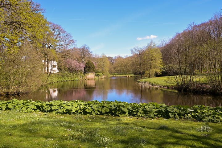 Foto 25 van Van Ommerenlaan 6