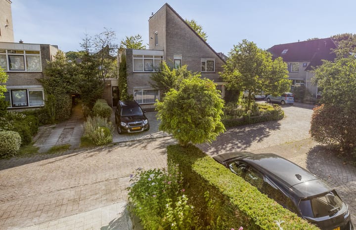 Foto 30 van Goudvink 30