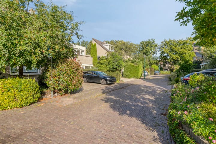 Foto 49 van Goudvink 30