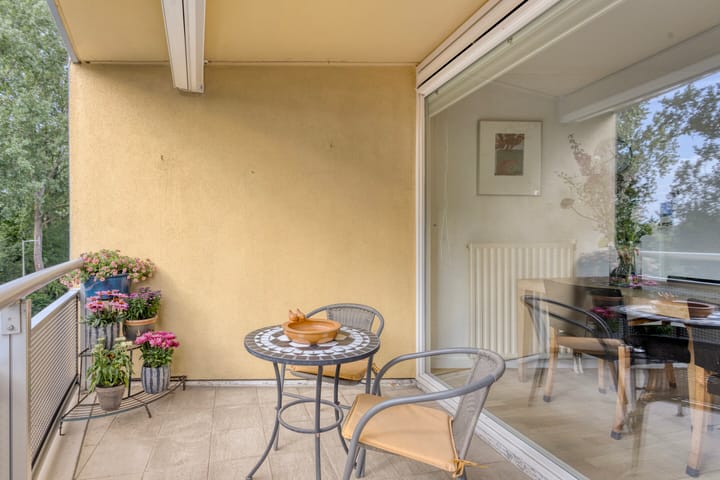 Foto 11 van Zuiderzeepark 24