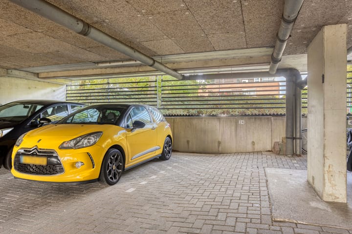 Foto 24 van Zuiderzeepark 24