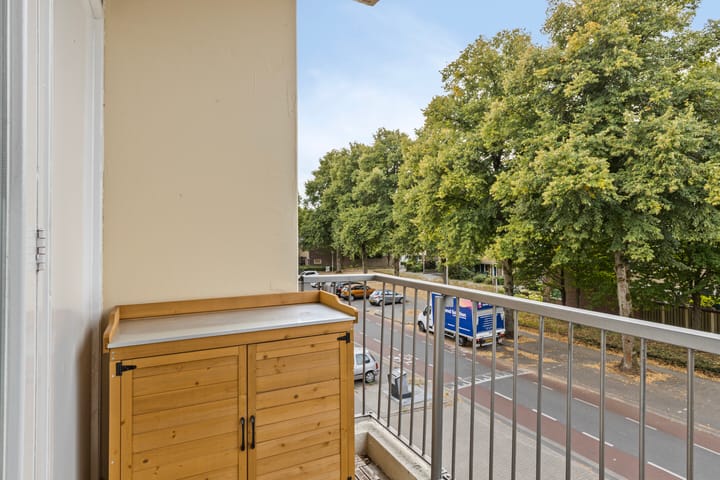 Foto 21 van Pisanostraat 118