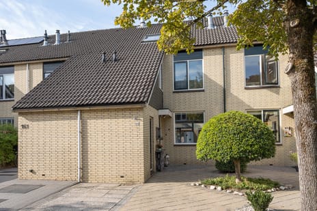 Fazant 162 secondary image