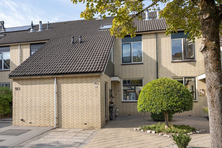 Photo 2 of Fazant 162