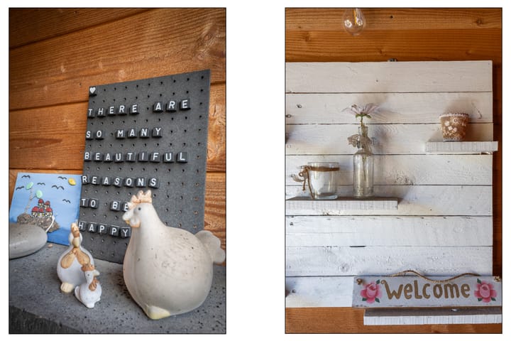 Photo 12 of Fazant 162